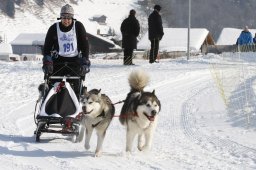 Lenk 2012 SM